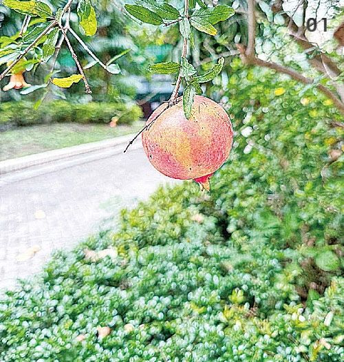 壞日子所學：退省與沖氣